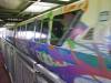 green-monorail-racing-past-.jpg