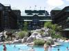 PP-Wilderness-Lodge-Pool.jpg