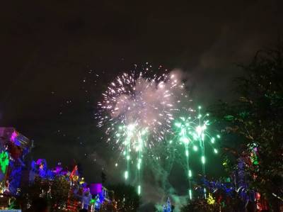 Photo illustrating <font size=1>Disneyland Park - Disneyland Forever fireworks