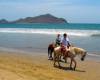 mazatlan-horses.jpg