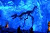 9_14_09_T-Rex_Dinosaur_in_Ice_Room.JPG