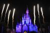 Disney2011_548.JPG