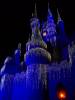 disney2010_449.JPG