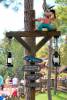 09_12_11_Frontierland_Direction_Sign.JPG