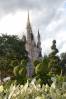 9_10_09_Mickey_Minnie_Topiary_w_Castle.JPG