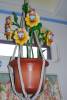 Daisy_Planter_in_Minnie_s_sunroom.JPG