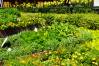 Epcot_049_Herb_Garden_09_1_of_1_.jpg