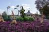Epcot_144_Sorcerer_Mickey_Topiary_1_of_1_.jpg