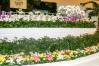 Flower_and_Garden_Festival_Center_06_1_of_1_.jpg