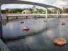 floating_flowers_and_butterfly_pavilion.jpg