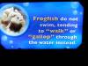 Epcot_Aquarium_frogfish_sign.JPG