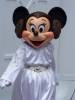 Minnie-6-8-2012.JPG