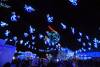 Osborne_Family_lights-muphoto-1586.jpg