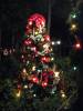 AK_Christmas_Tree_2.JPG