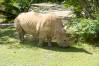 AK_26_Kilimanjaro_Safaris_18_1_of_1_.jpg