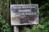 Sunrise_Safari_Harambe_Wild_Life_Reserve_2.jpg