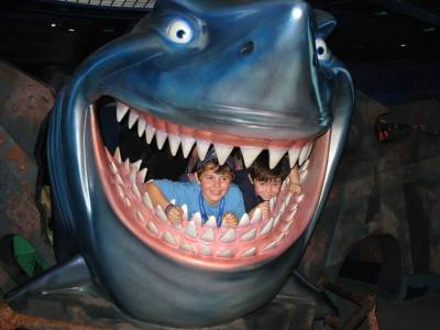 Photo illustrating Walt Disney World - Touring
