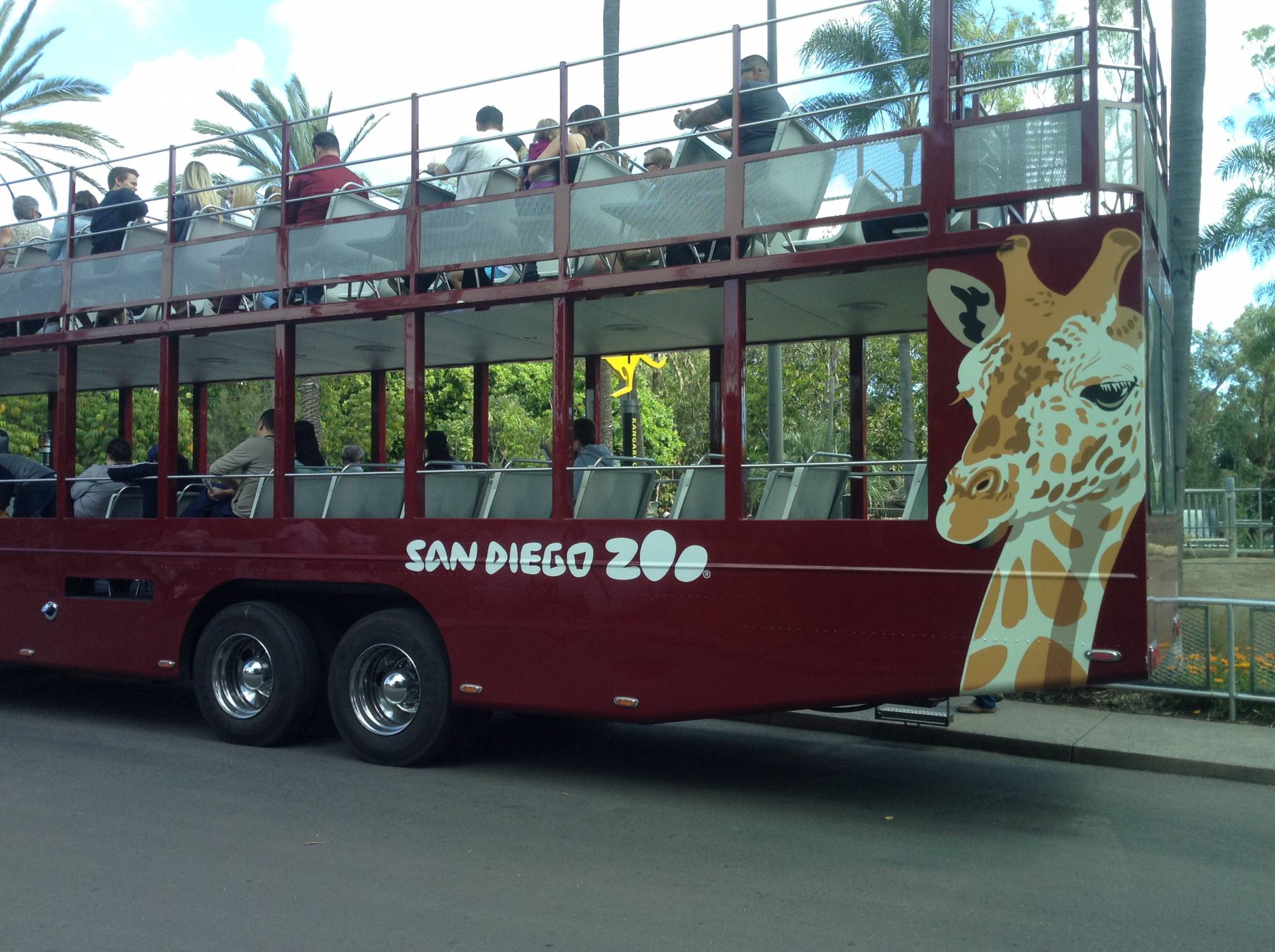 Explore the San Diego Zoo while in Southern California |PassPorter.com