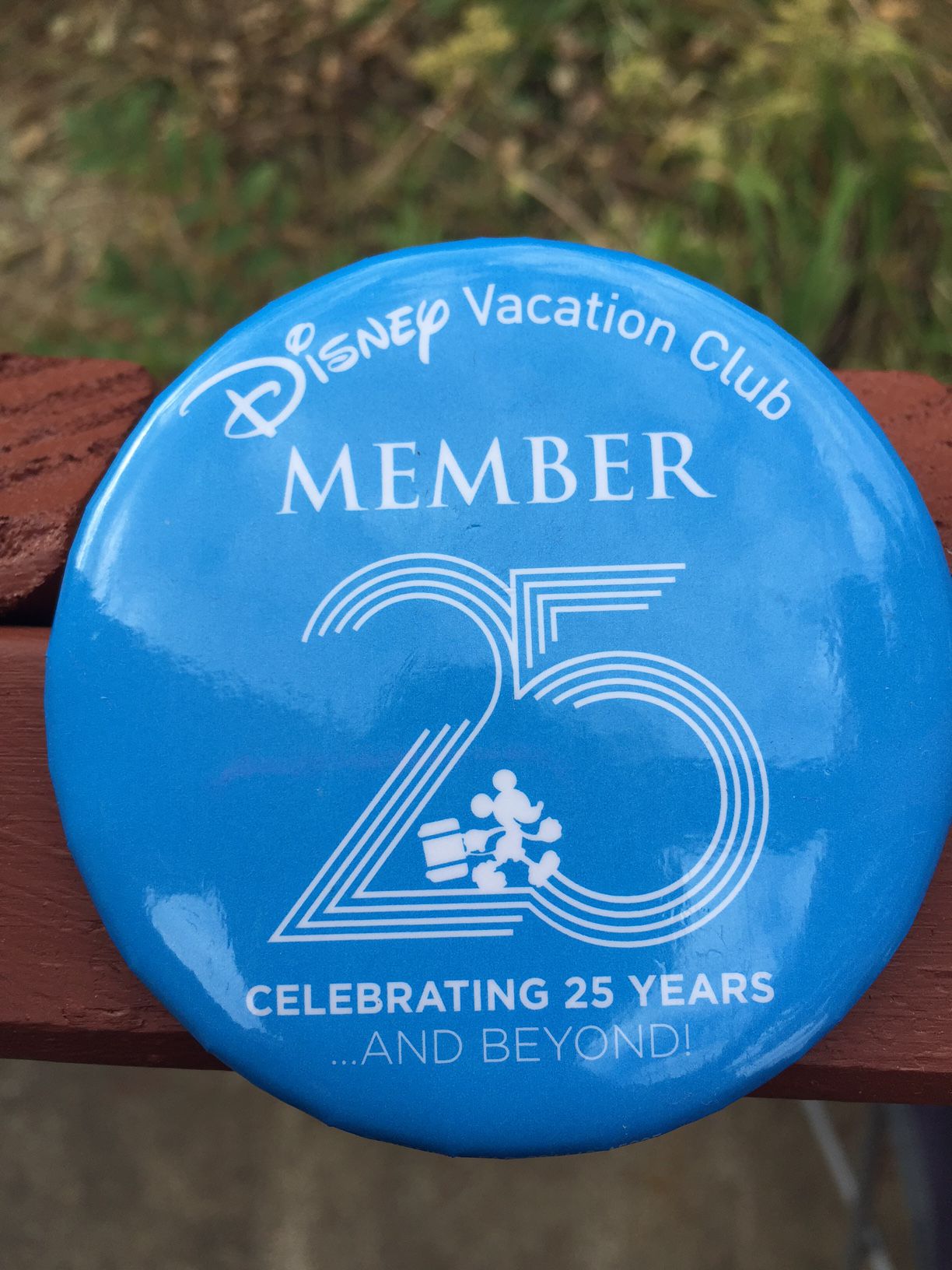 A review of the Disney Vacation Club 25th Anniversary Celrbation Safari Spectacular | PassPorter.com