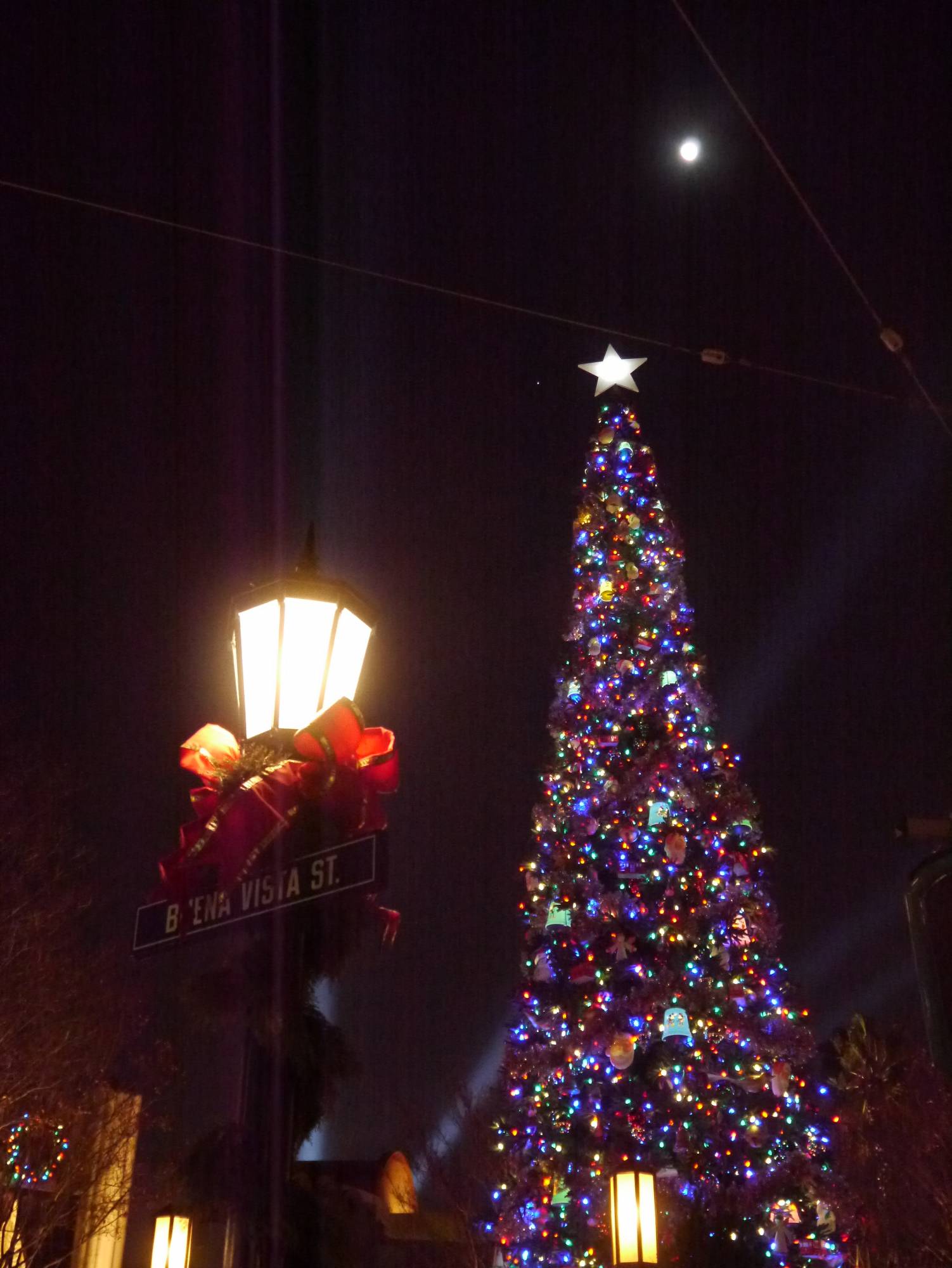 Enjoy the holidays at Disneyland | PassPorter.com