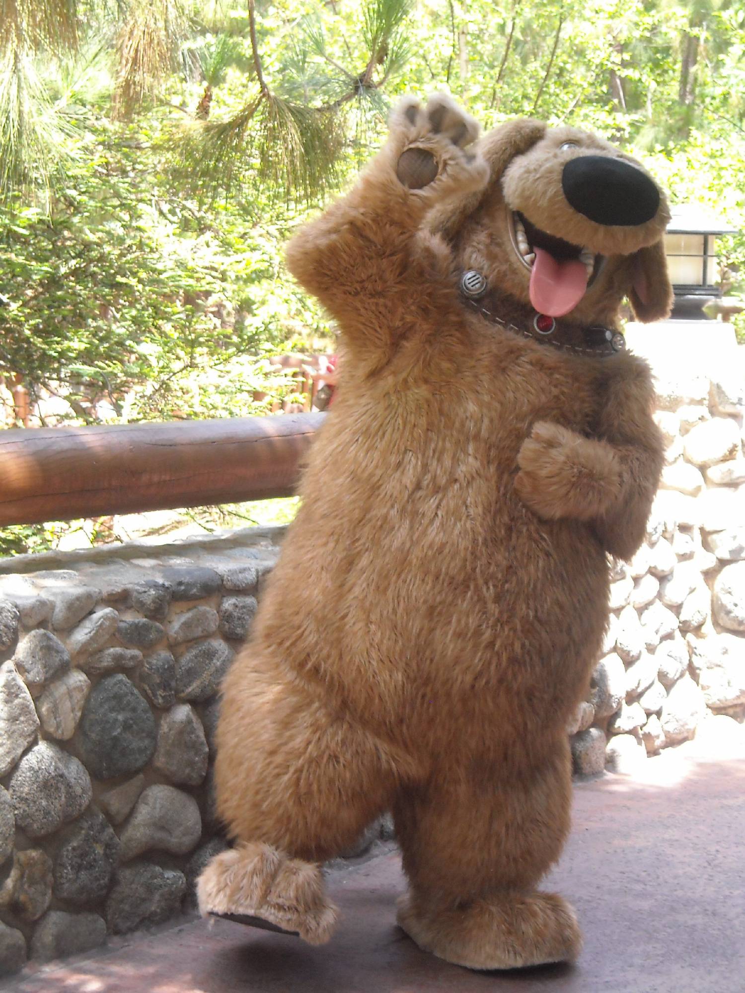 Explore the Redwood Creek Challenge at Disney California Adventure |PassPorter.com