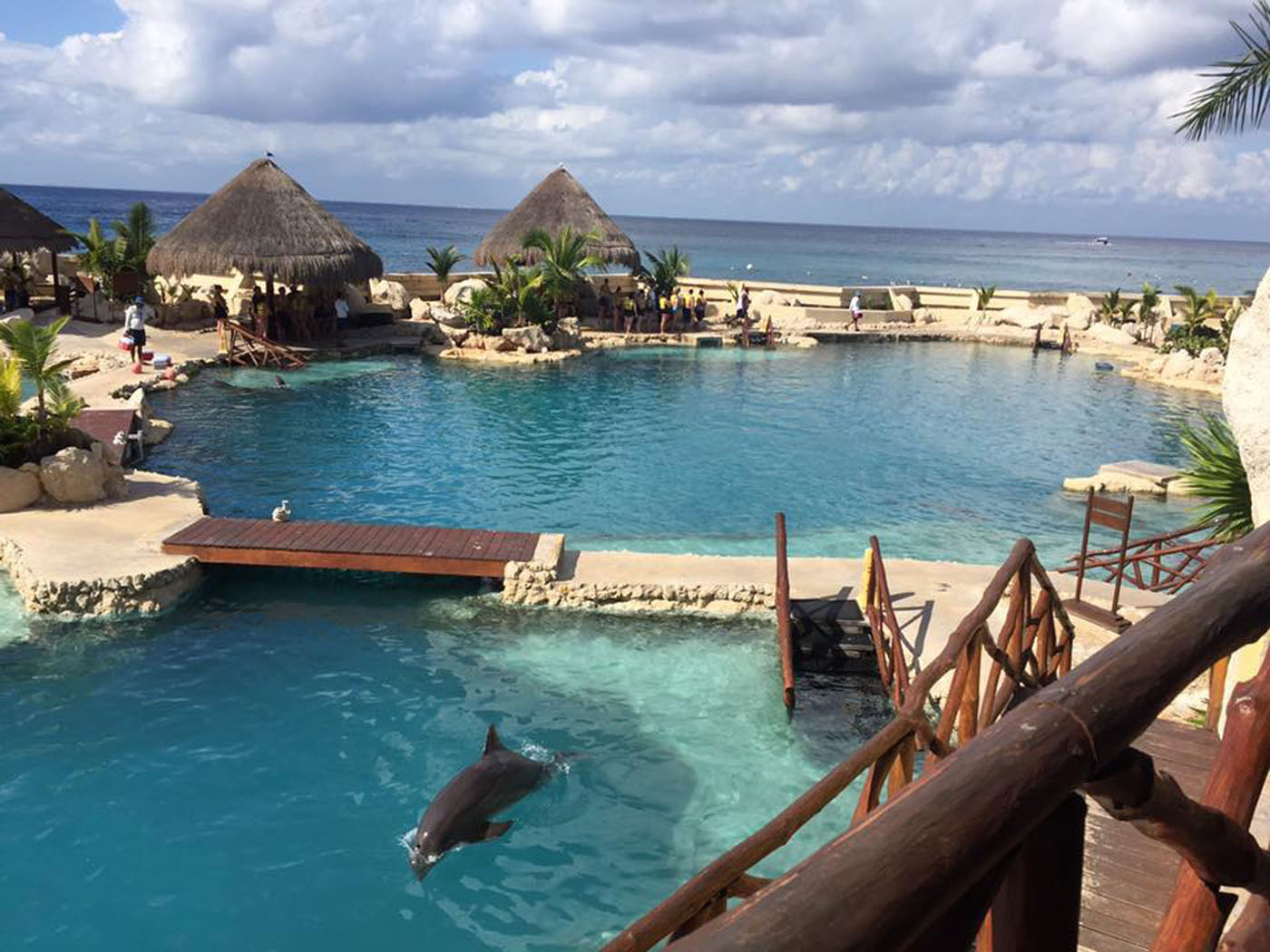 Learn more about the Port Adventures available in Cozumel, Mexico | PassPorter.com
