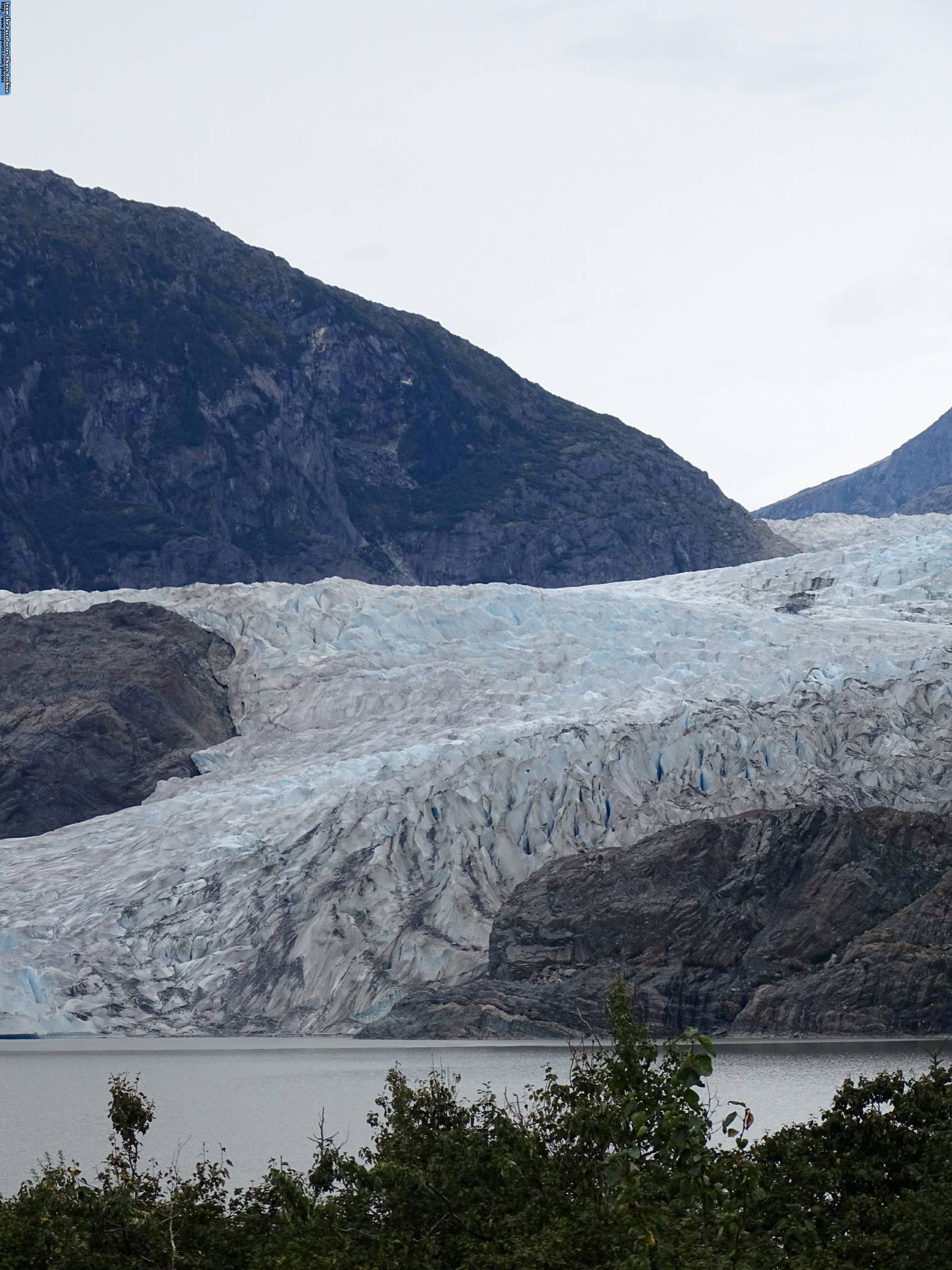 Enjoy the Whales and Glaciers Photo Safari in Juneau while on your Disney Cruise to Alaska |PassPorter.com