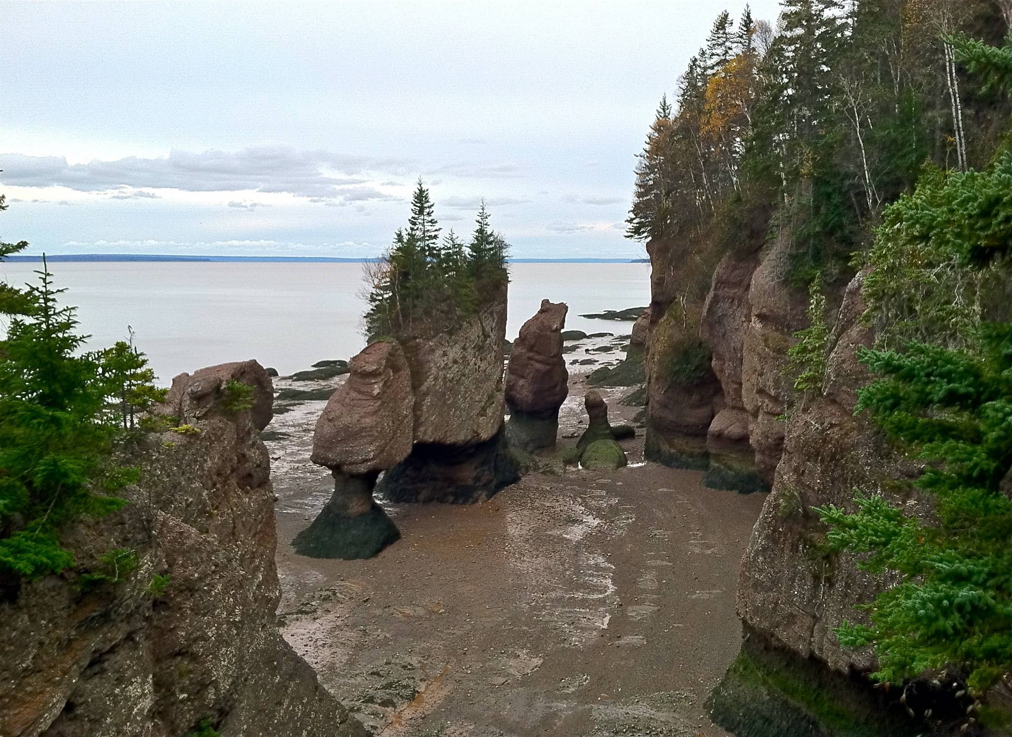 Exploring the Bay of Fundy's fabulous tides |PassPorter.com