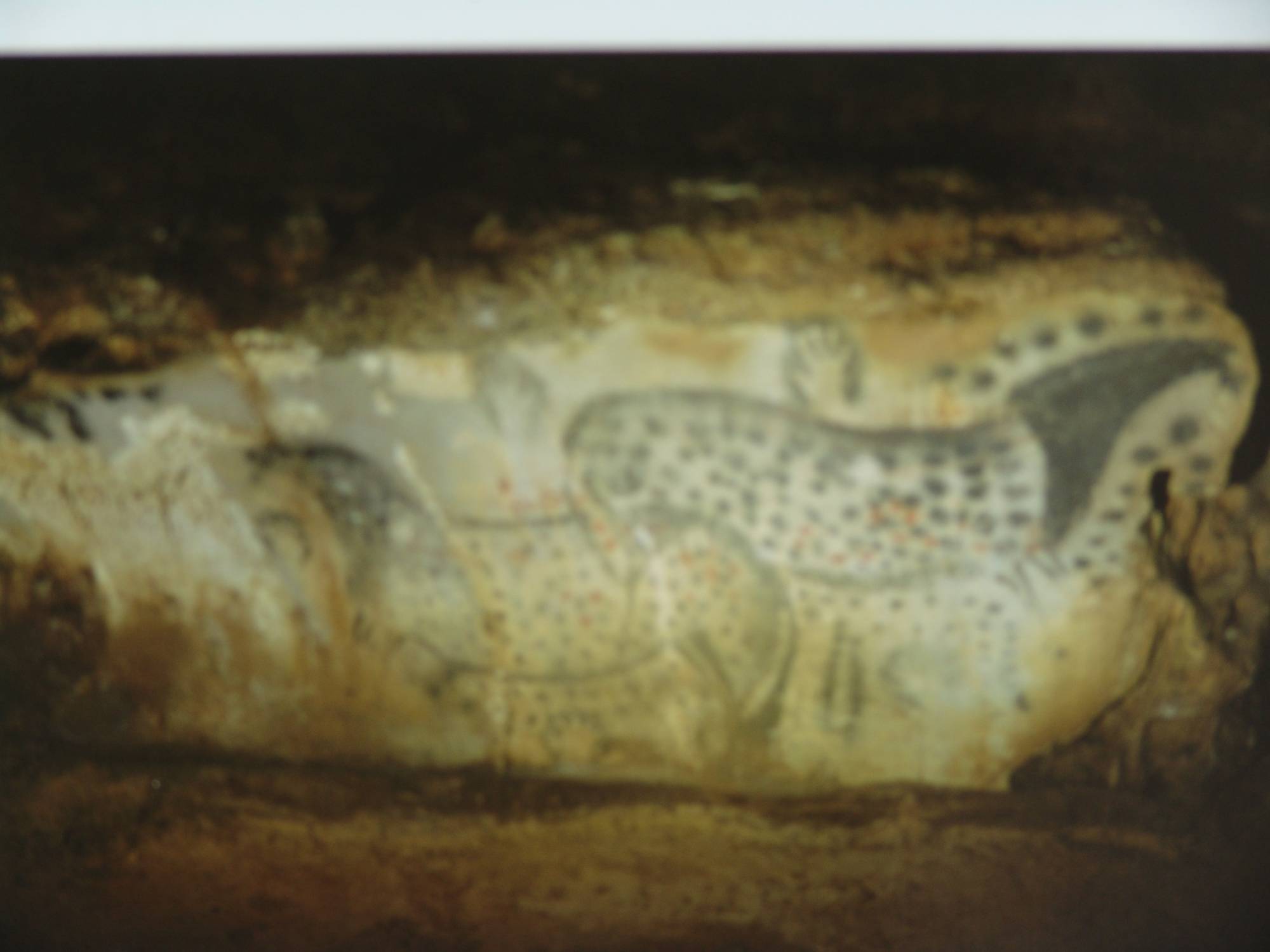 Explore the Pre-Historic Caves of Pech-Merle | PassPorter.com