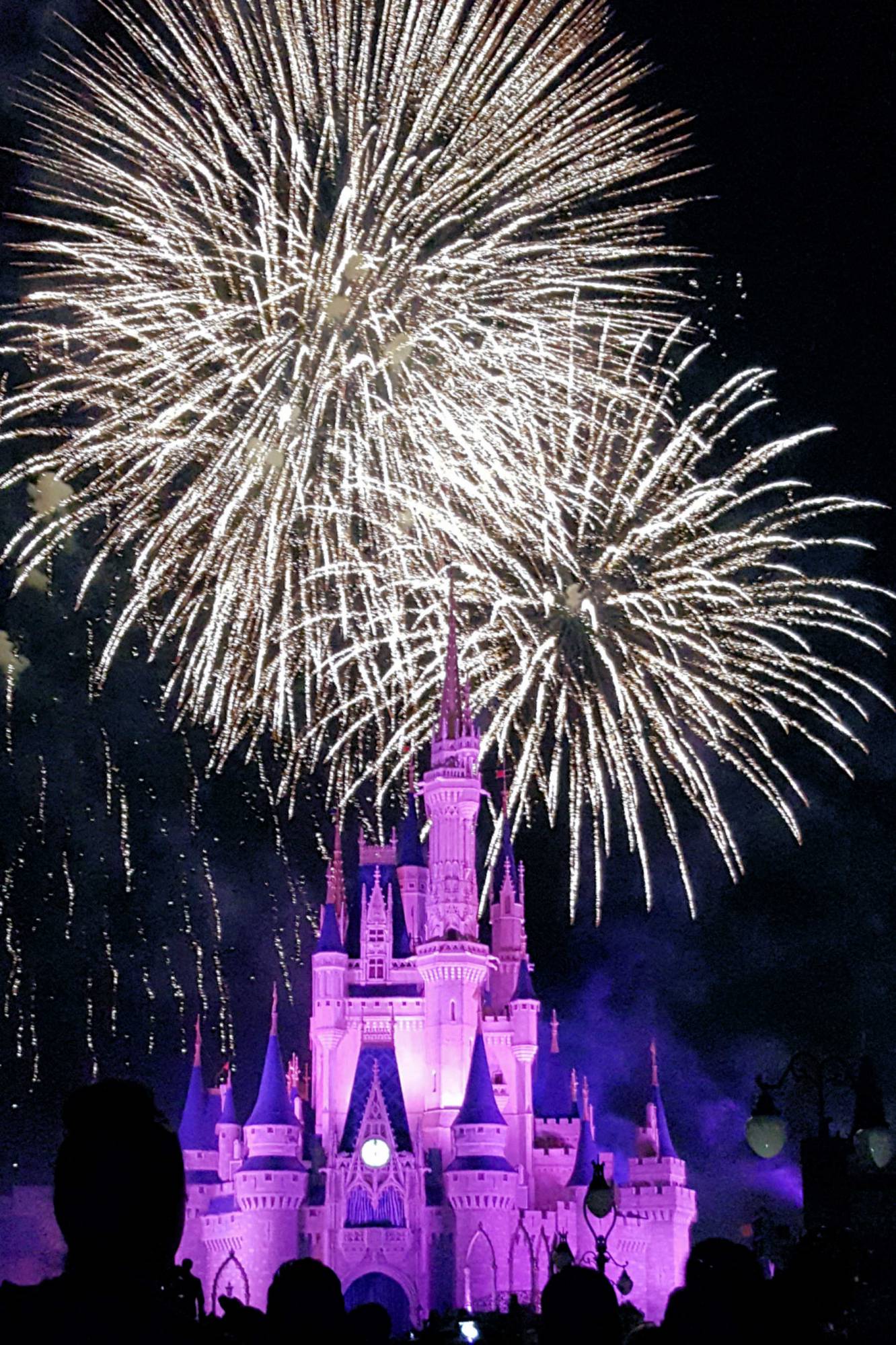 Saying a fond farewell to 'Wishes' at the Magic Kingdom | PassPorter.com
