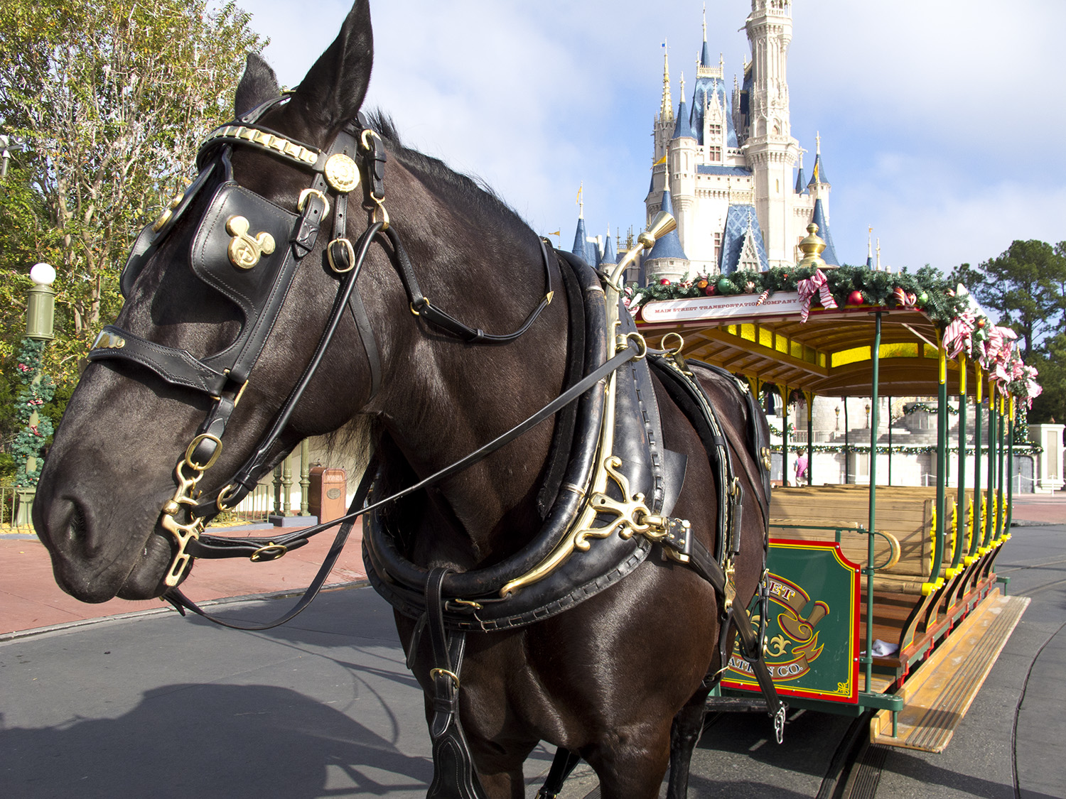 Explore the often overlooked attractions at the Magic Kingdom | PassPorter.com