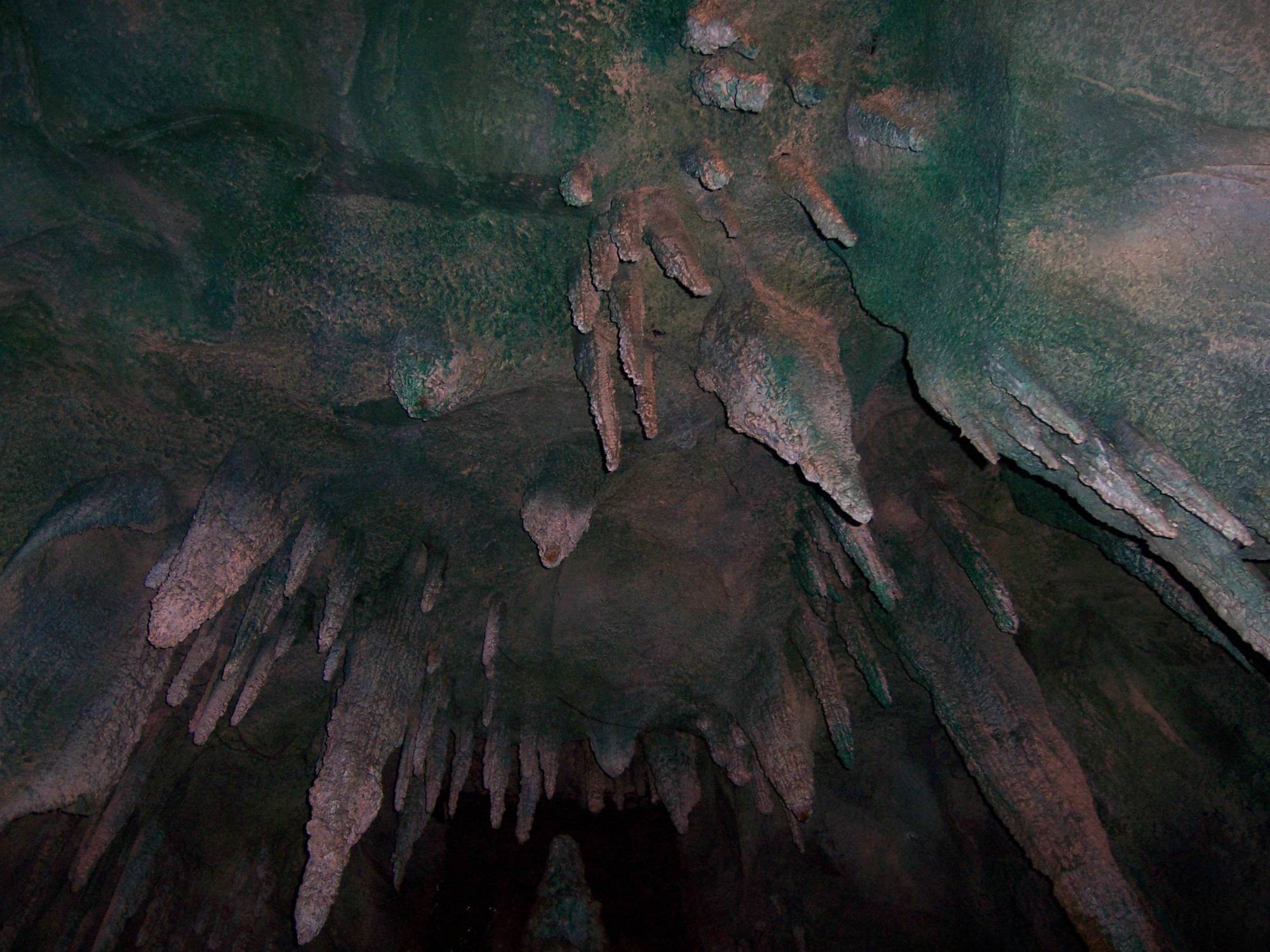 Explore the underworld of the Carlsbad Caverns | PassPorter.com