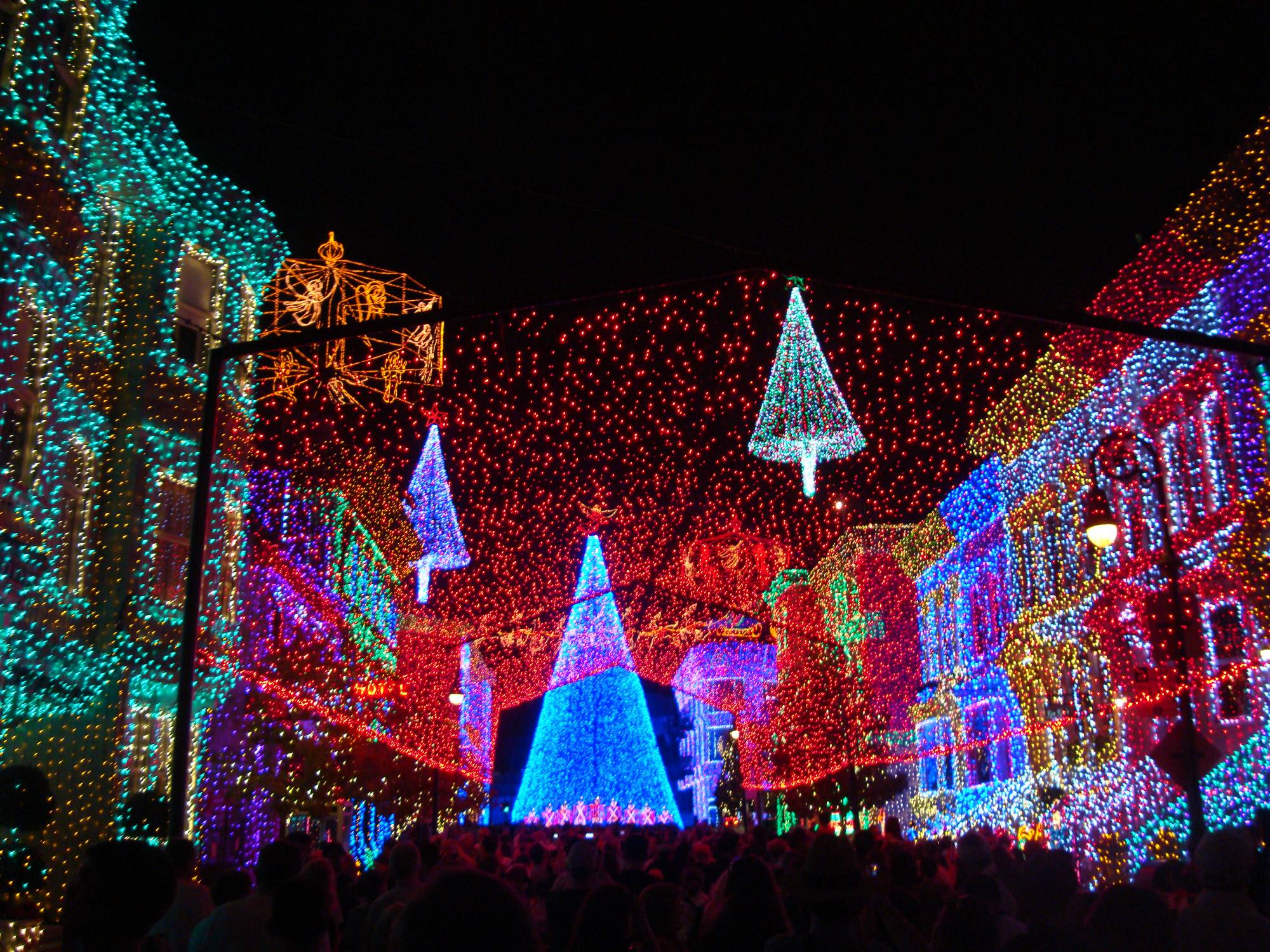 Discover the magic of Disney at the Holidays |PassPorter.com