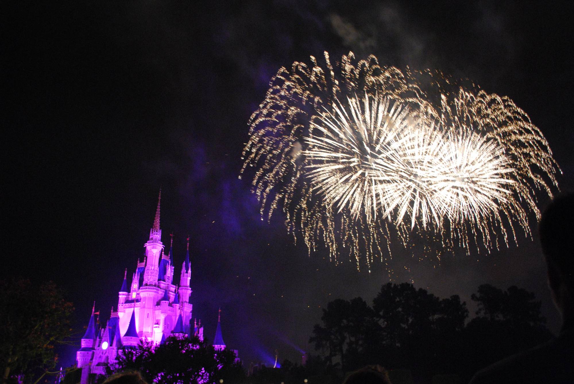 Magic Kingdom - Wishes