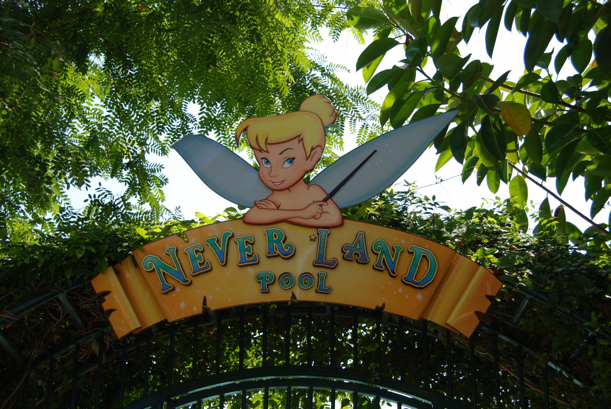 Disneyland Hotel Never Land Pool