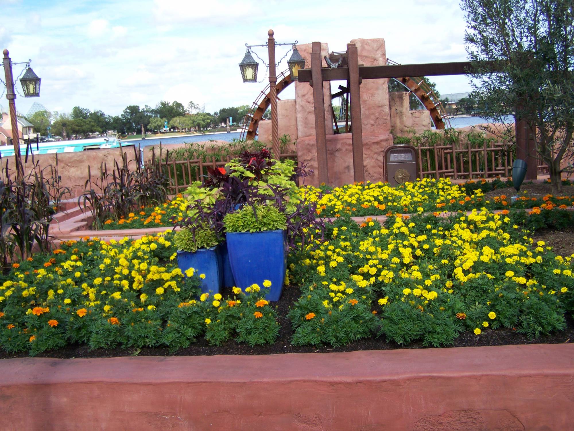 Flowers in Morocco in World Showcase at Epcot