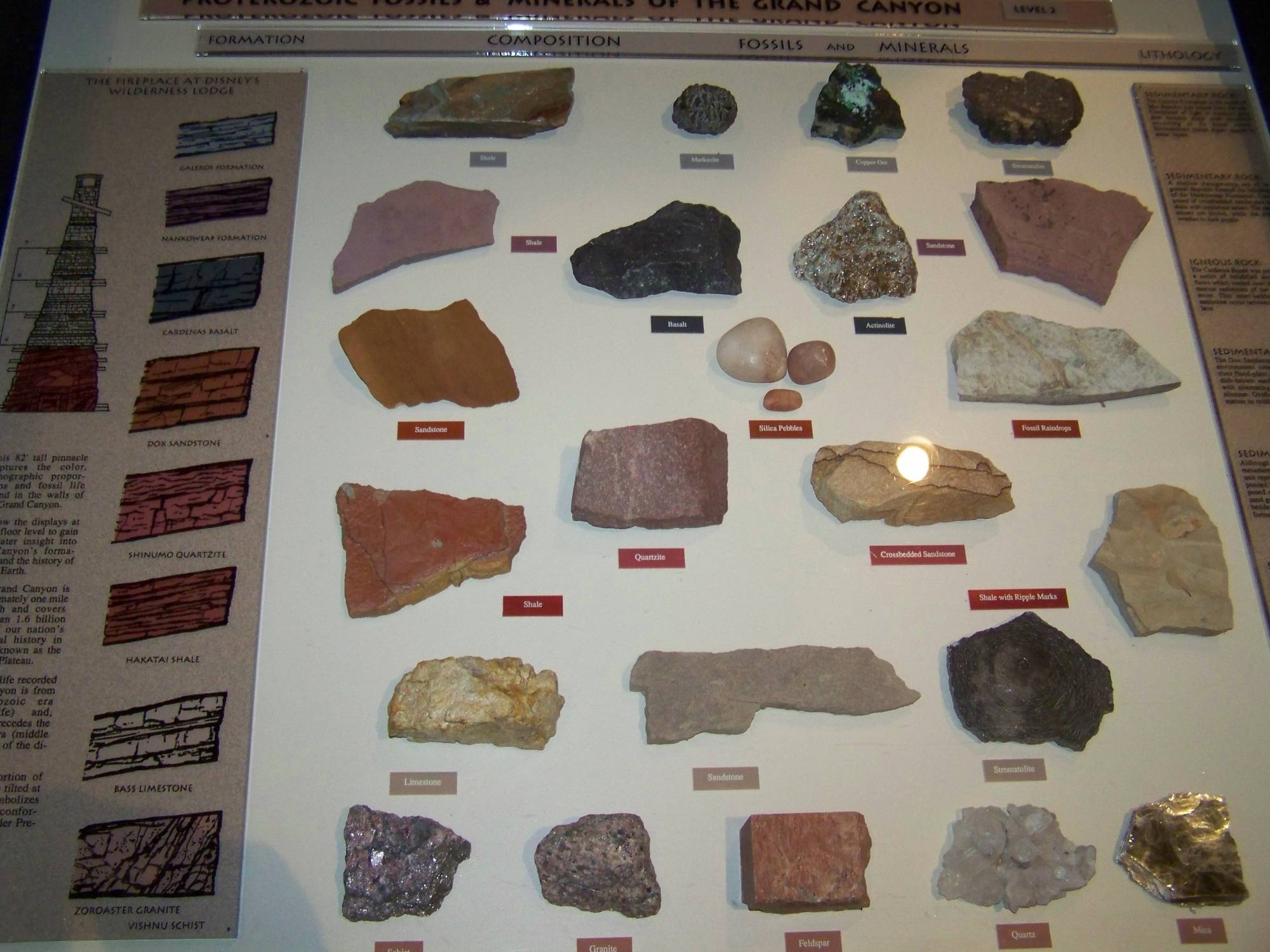 Rocks on Display at Wilderness Lodge Lobby