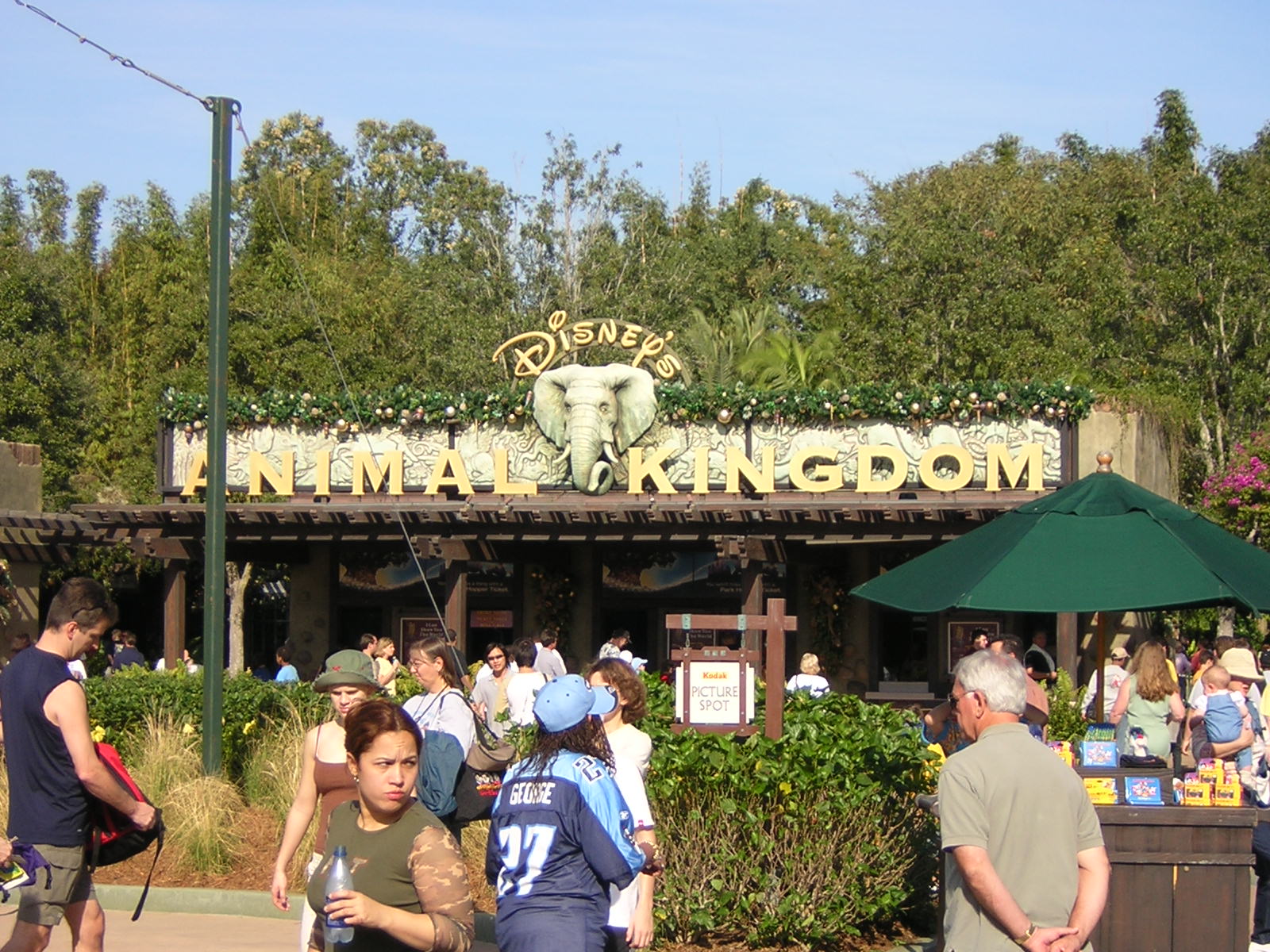 Animal Kingdom - Entrance