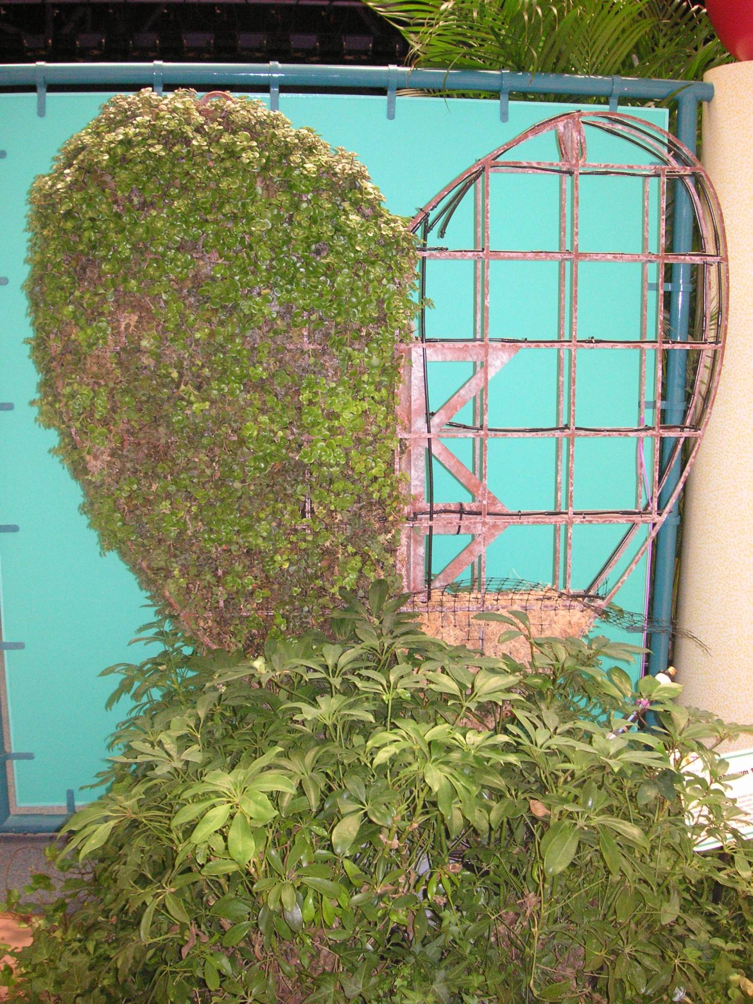 Flower &amp; Garden Festival - Topiary Display