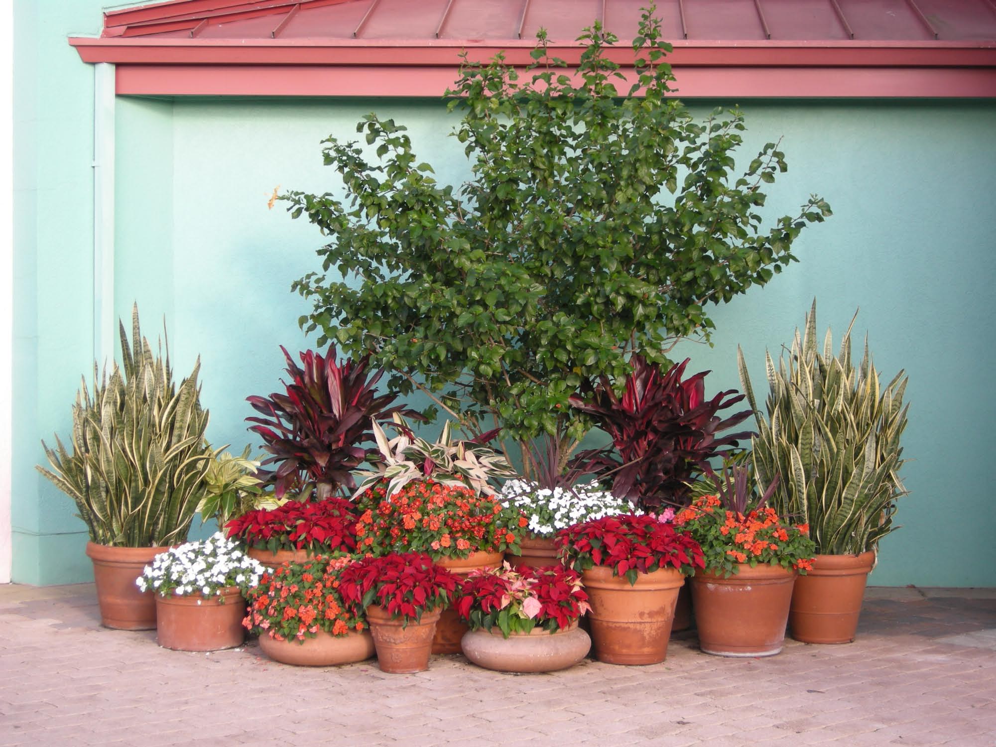 Caribbean Beach Resort - Flowers Outside of Old Port Royale