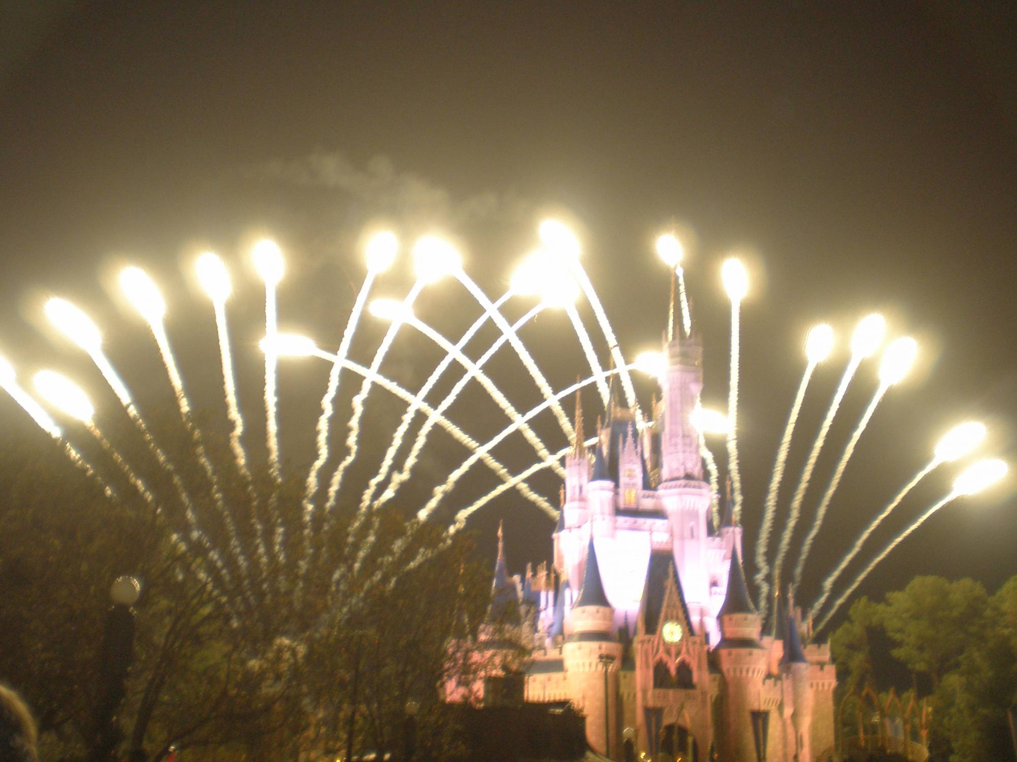 Disney's Dreams Come True Parade-Magic Kingdom