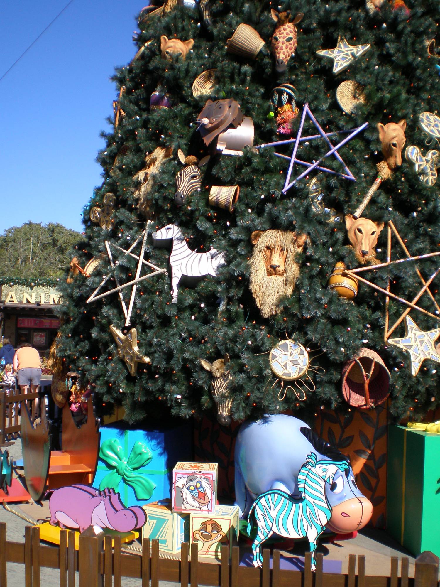 Animal Kingdom Holiday