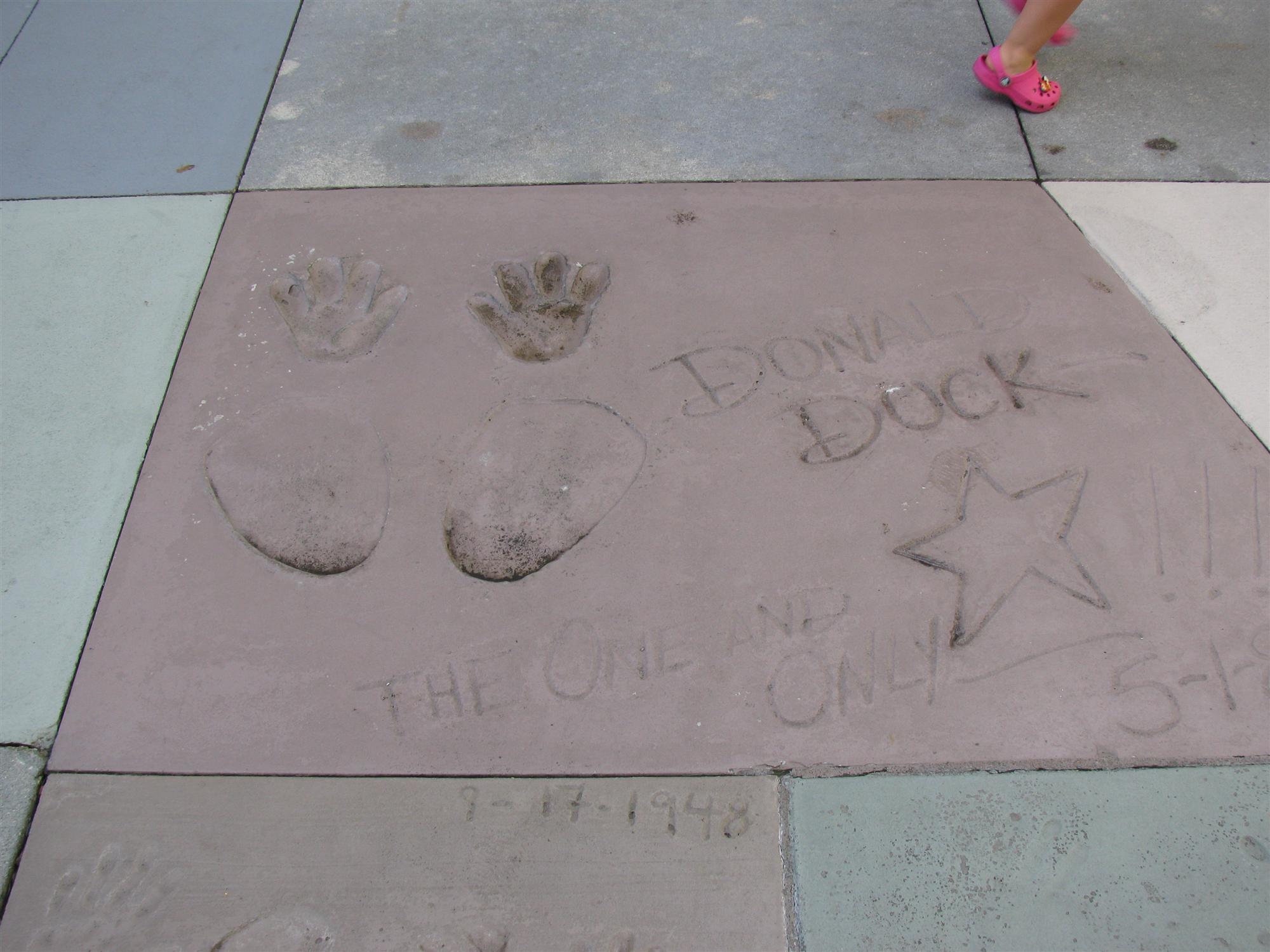 Hollywood Studios-Donald Duck signature and feet