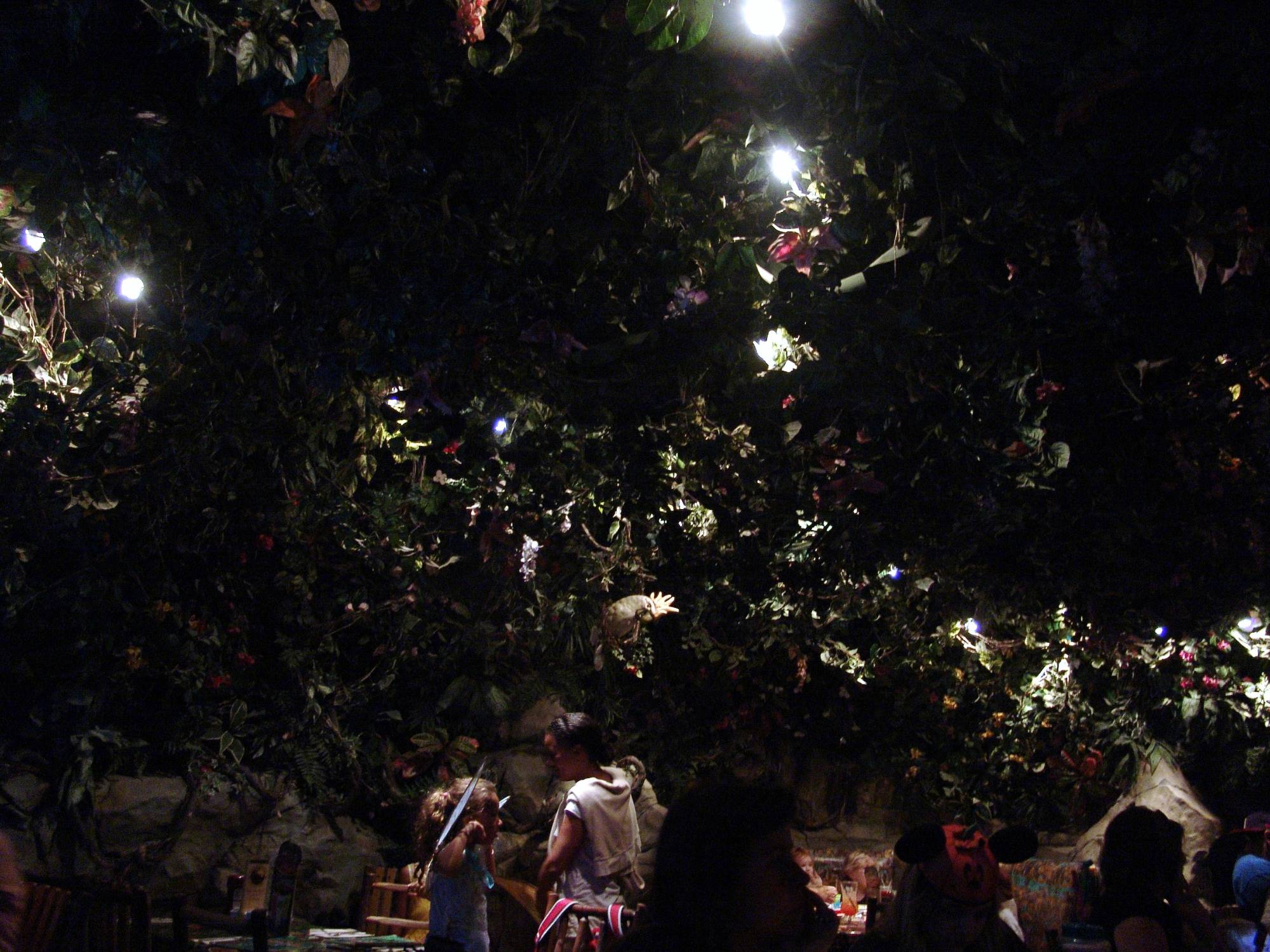 Downtown Disney - Rainforest Cafe