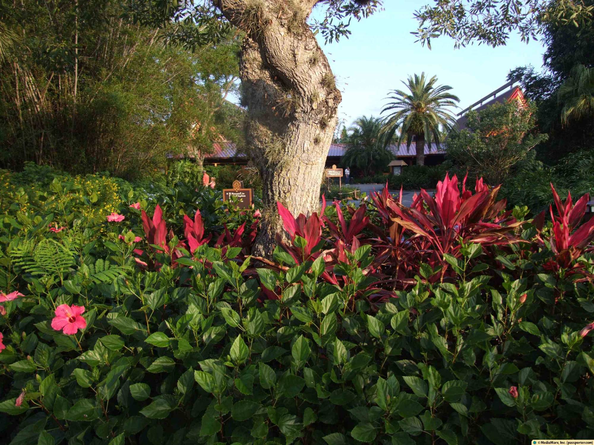 Polynesian - Grounds