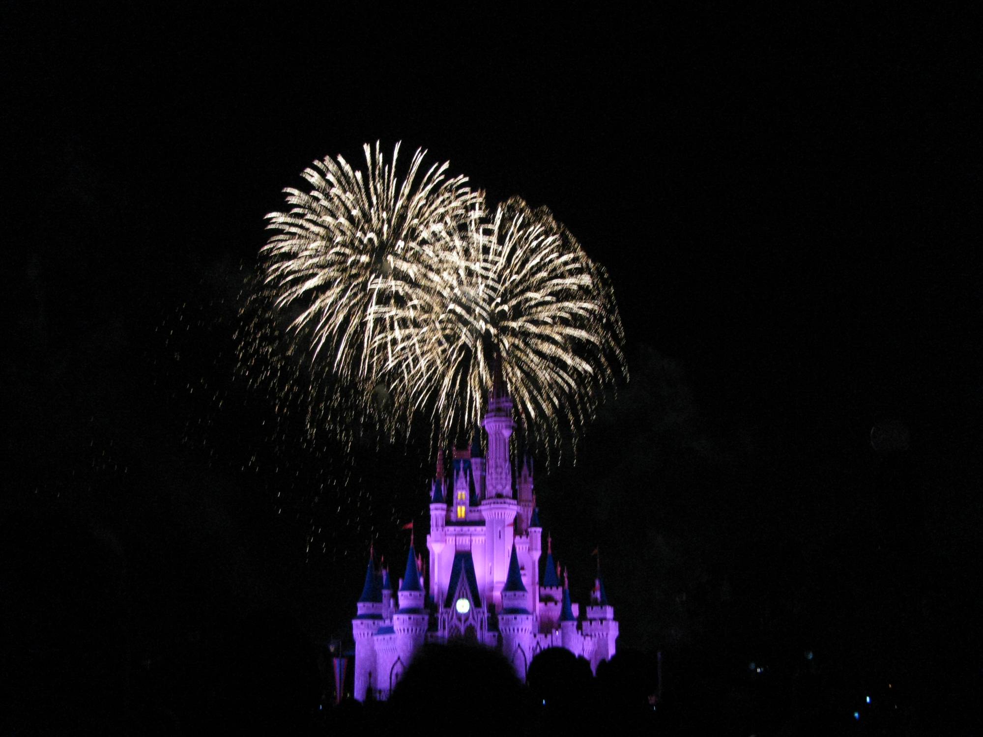 Wishes in front of Cinderella's Castle at Magic Kingdom