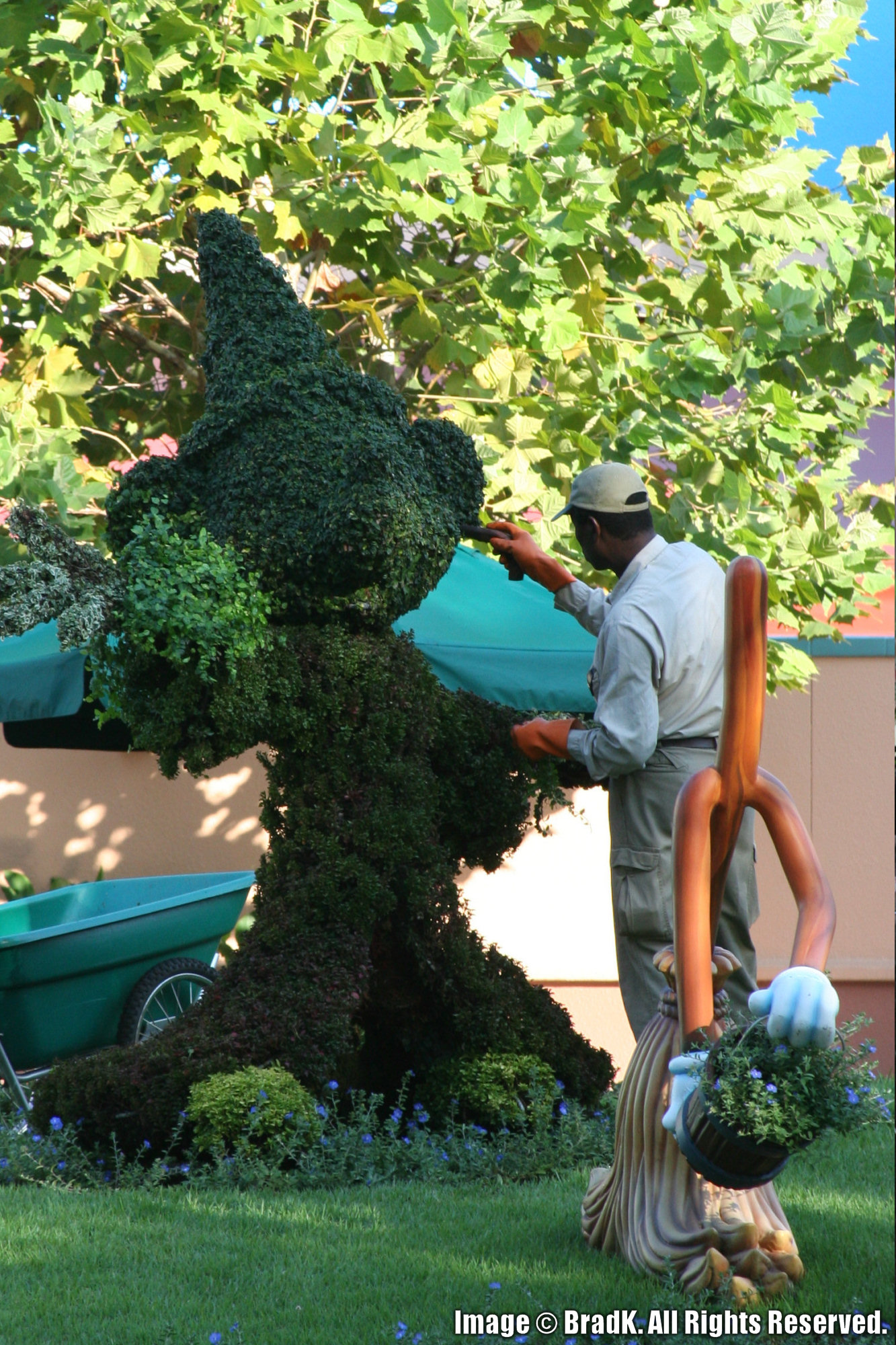Disney Studios - Sorcerer's Apprentice Topiary