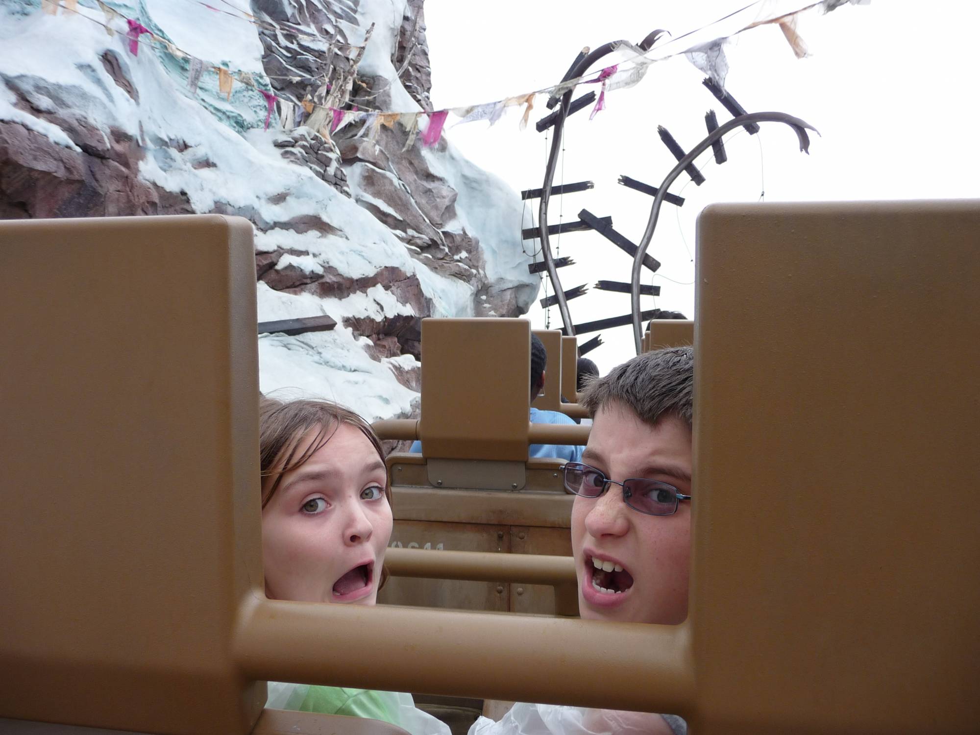 ANIMAL KINGDOM - RIDING EVEREST