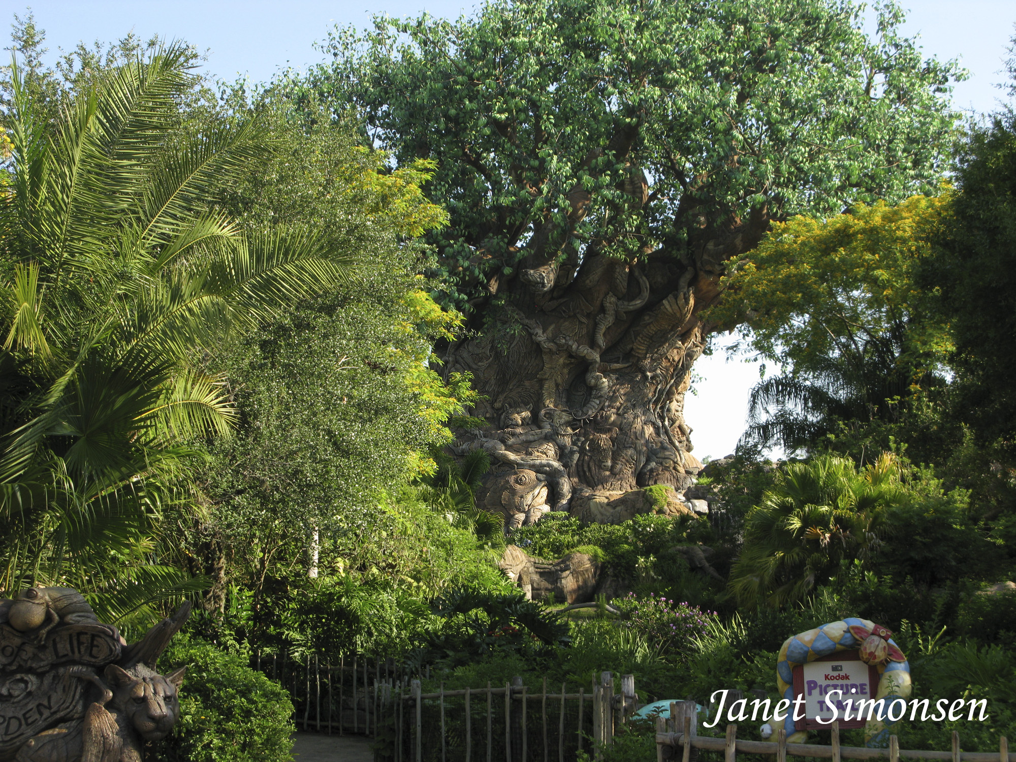 Animal Kingdom - Tree of Life