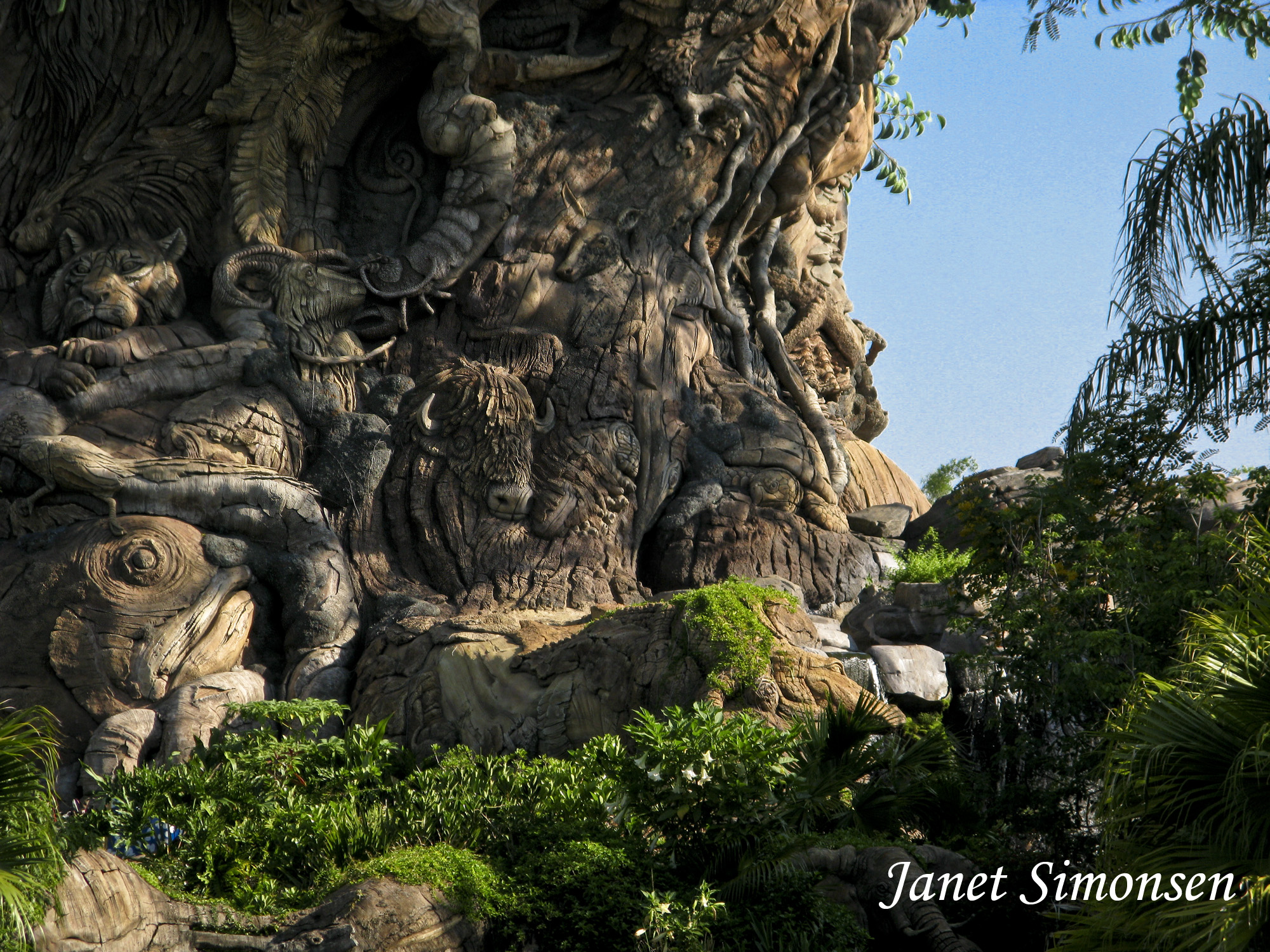 Animal Kingdom - Tree of Life